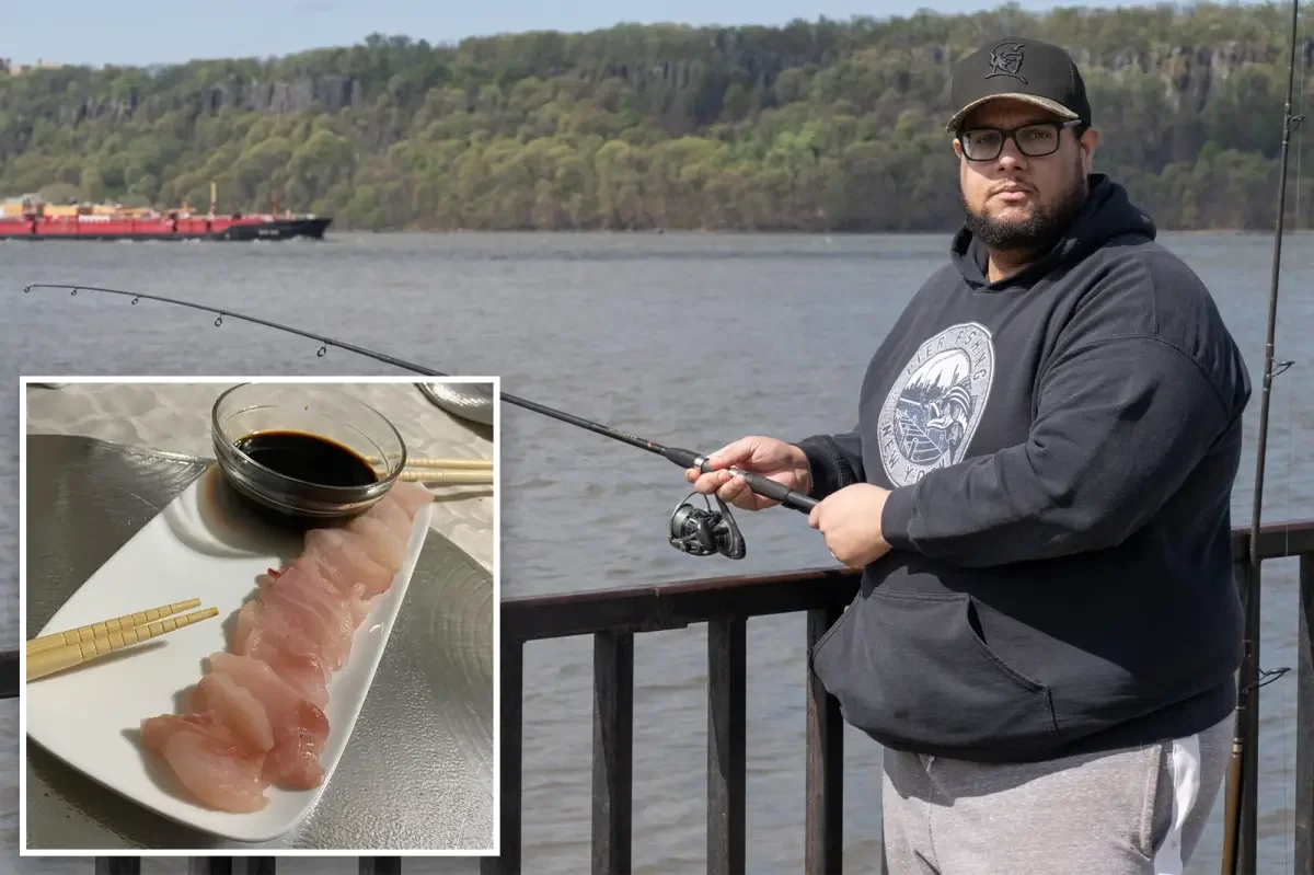 NYC Resident Consumes Self-Caught Raw Striped Bass from Polluted Hudson River