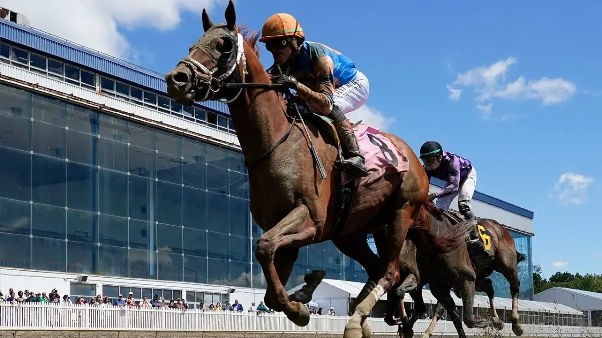 Young Racehorse Suffers Fatal Collapse in Debut Race, Casting Shadow Over Preakness Preparations