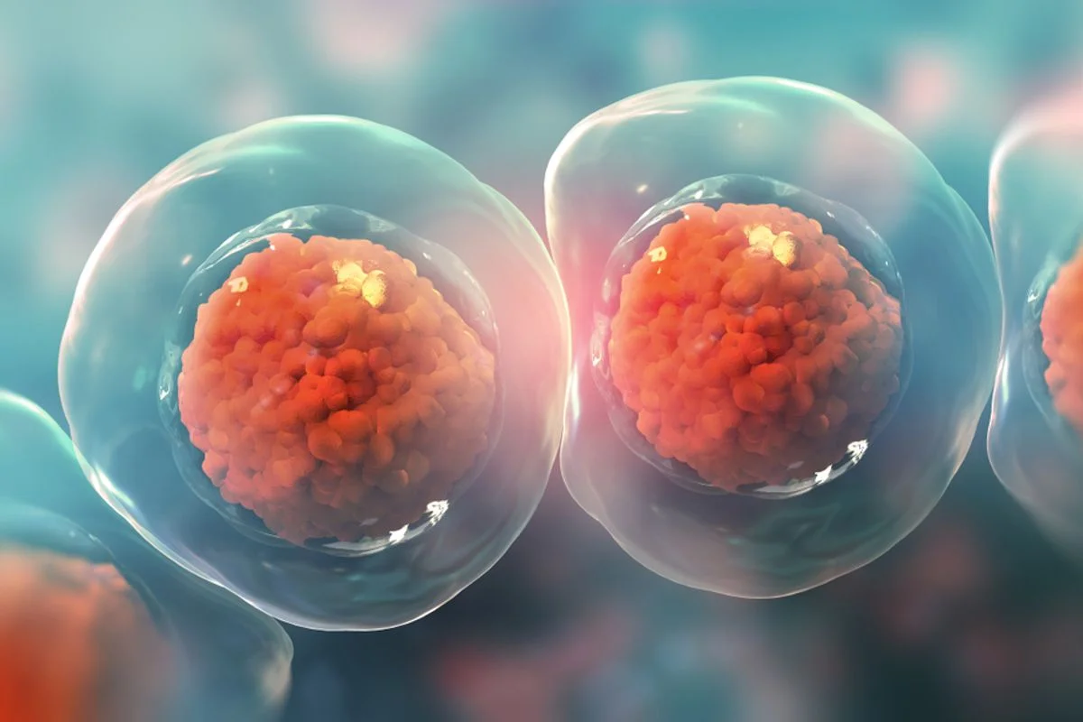 Human Cells Can Pass DNA to Each Other Through Tiny Tubes — Here's How It May Fuel Cancer Growth